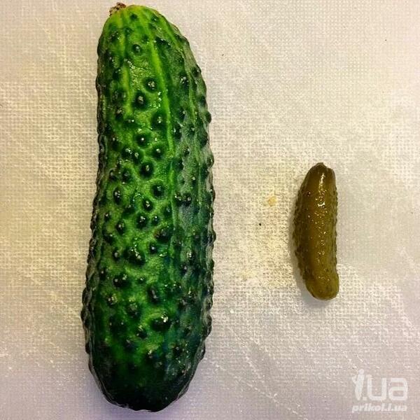 2Cucumbers.jpg